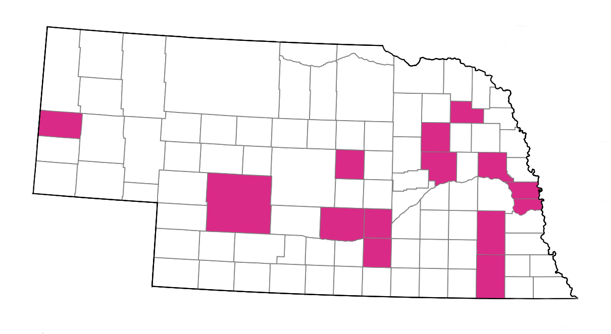 Map of Nebraska counties with an OB-GYN (2023). Counties include Scottsbluff, Lincoln, Buffalo, Hall, Adams, Valley, Madison, Platte, Wayne, Lancaster, Gage, Dodge, Douglas, and Sarpy.